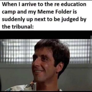 my meme file at the trial.jpg