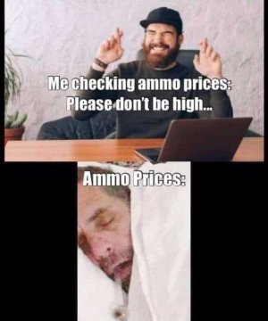 high ammo prices.jpeg