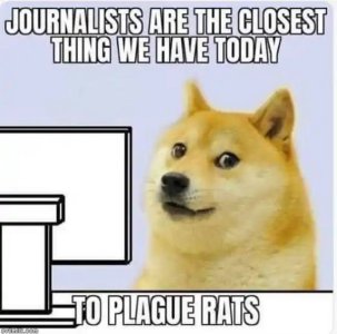 IMG_0938.jpeg