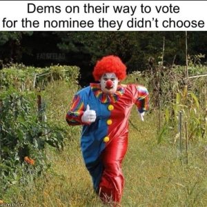 IMG_0972.jpeg