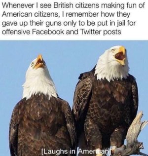IMG_3479.jpeg