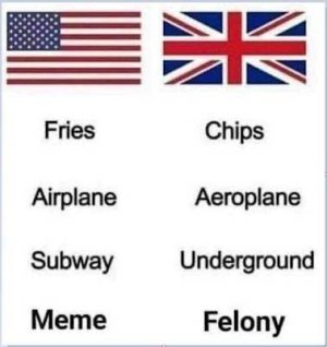 language differences.jpg