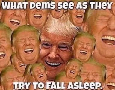 democrat nightmare.jpg