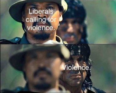 liberals calling for violence.jpg