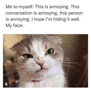 annoying.jpg