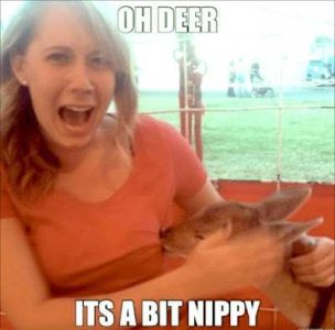 oh deer its a bit nippy.jpg
