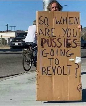 when are you pussies going to revolt.jpg