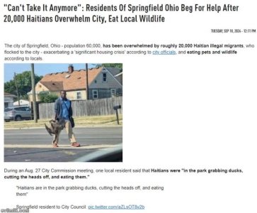 IMG_1072.jpeg