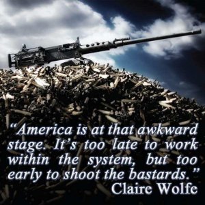 america-is-at-that-awkward-stage-its-too-late-to-work-within-the-system-but-too-early-to-shoot...jpg