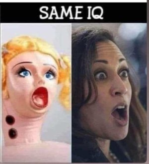 Kamala doll.jpg