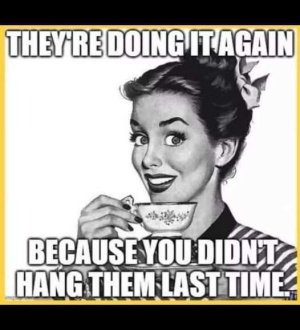 you didnt hang them last time.jpg