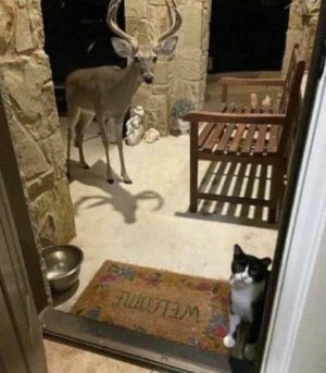 IMG_1129.jpeg