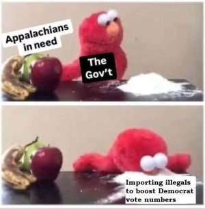 importing illegal voters.jpg