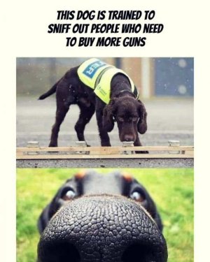 gun sniffing dog.jpg