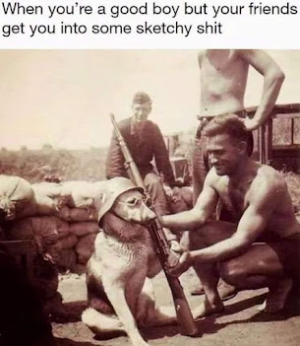 good boy.png