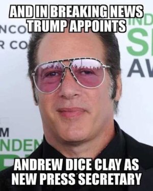 diceman for press secretary.jpg