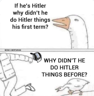 IMG_3800.png