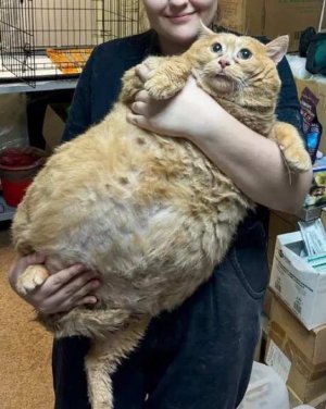 me at waffle house.jpg