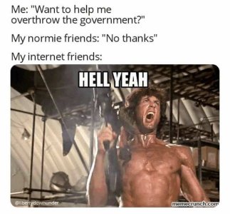 internet friends overthrow govt.jpg