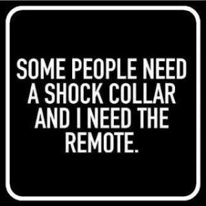 Shock-collar.jpg