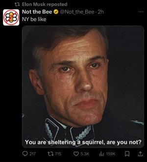 IMG_3820.jpeg