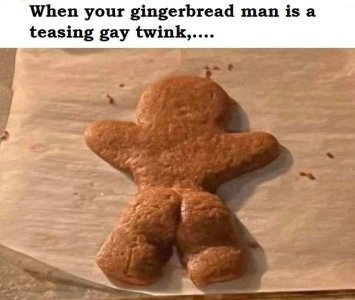 gay gingerbread man.jpg