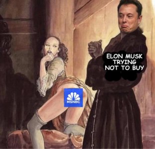 Musk resisting banging MSNBC modified.jpg