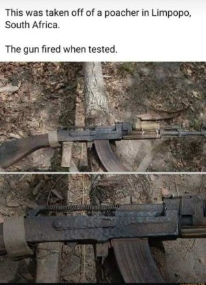 zombie AK47.jpg