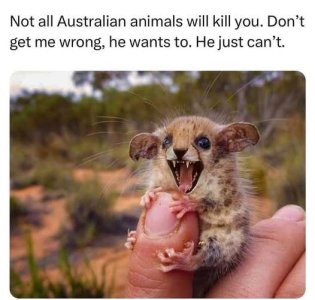 deadly Australia.jpg