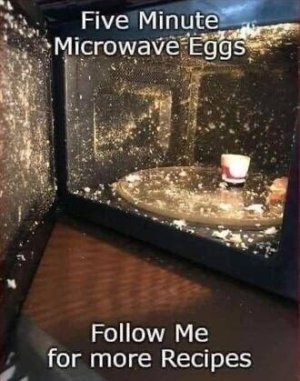 IMG_1330.jpeg
