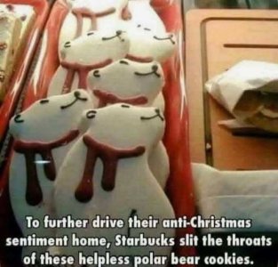 dead polar bears.jpg
