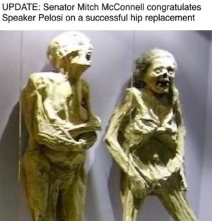 IMG_4027.jpeg