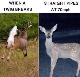 IMG_4096.jpeg