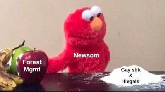Newsom gay shit.jpg
