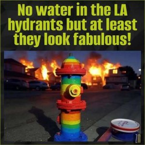 gay fire hydrant.jpg