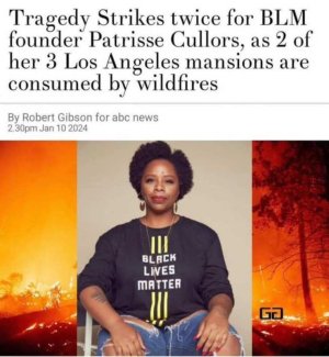 BLM mansions burn down.jpg