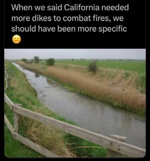 more dikes.png