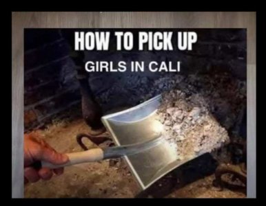 picking up girls in Palisades.jpeg