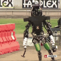 IMG_1430.gif