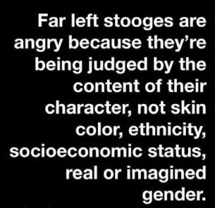 the color of their skin, not their character.jpg