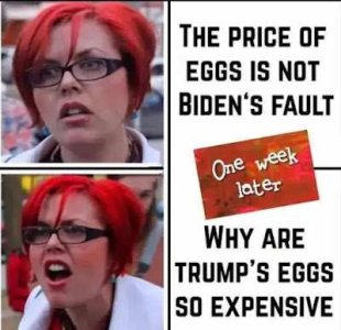 egg prices.jpg
