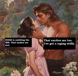 DOGE auditing IRS makes me wet.jpg