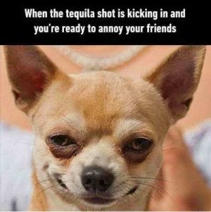 when the tequila kicks in.jpg