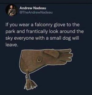 falconry glove.jpg