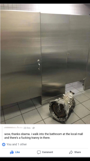 tranny in the bathroom.png