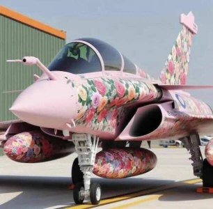 French Air Force is faggy.jpg