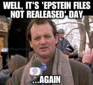 epstein files.jpg
