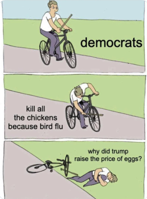 kill all the chickens.png