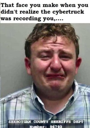 Tesla vandal mug shot.jpg
