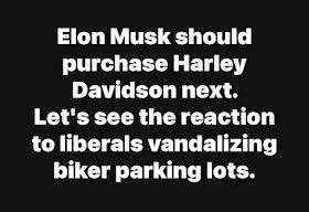 musk buy Harley.jpeg